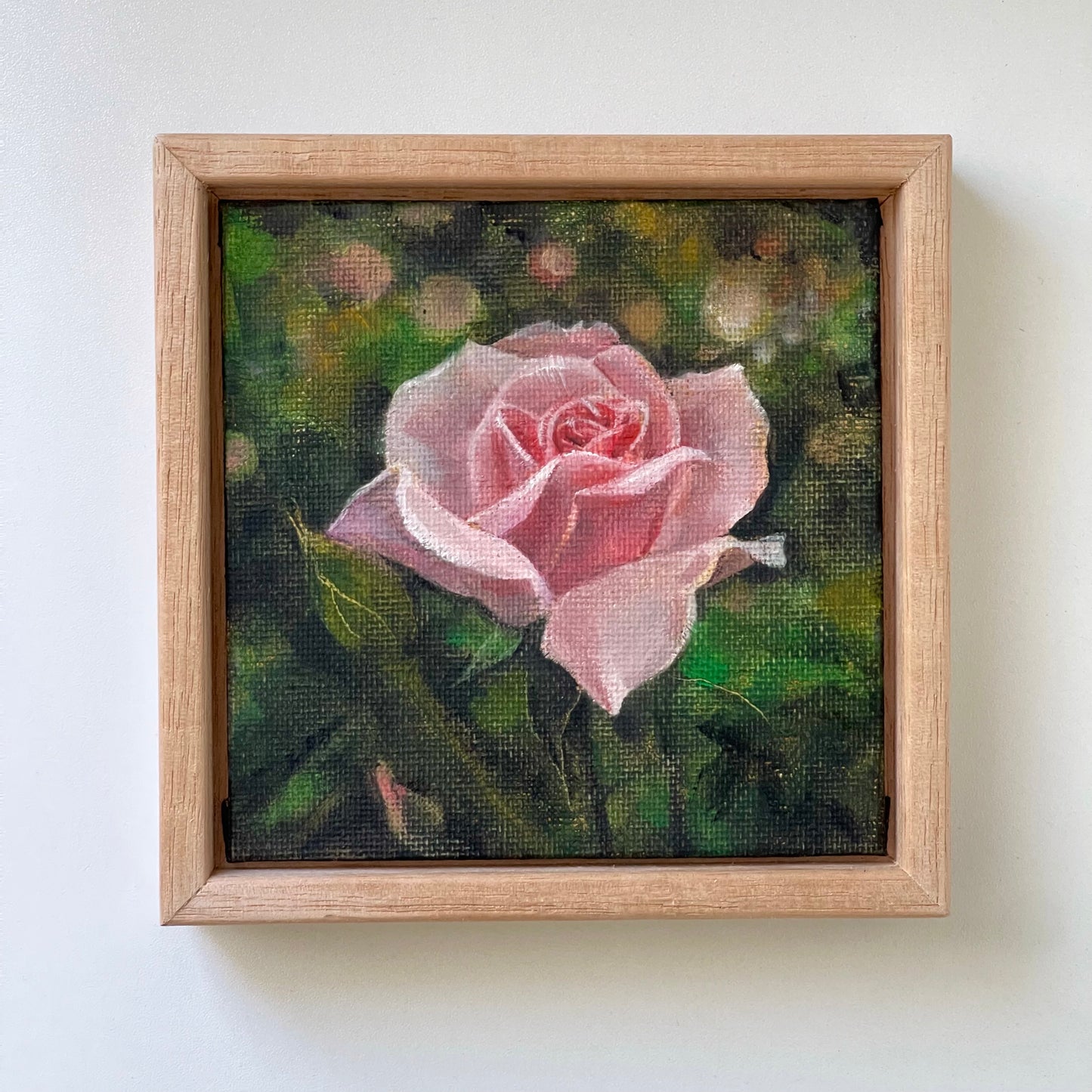 "Pink Rose in Bloom" - Original oil painting