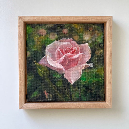"Pink Rose in Bloom" - Original oil painting