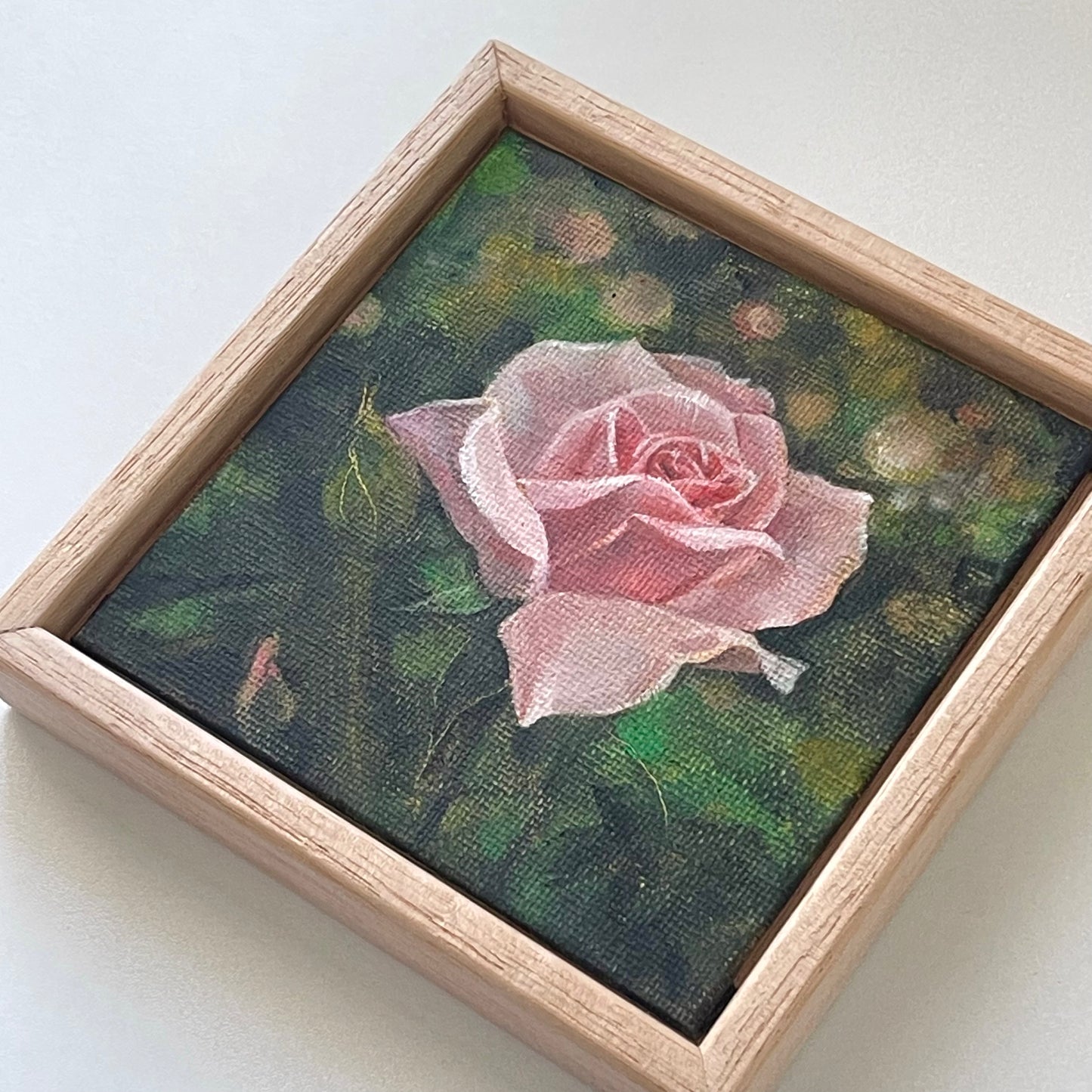 "Pink Rose in Bloom" - Original oil painting